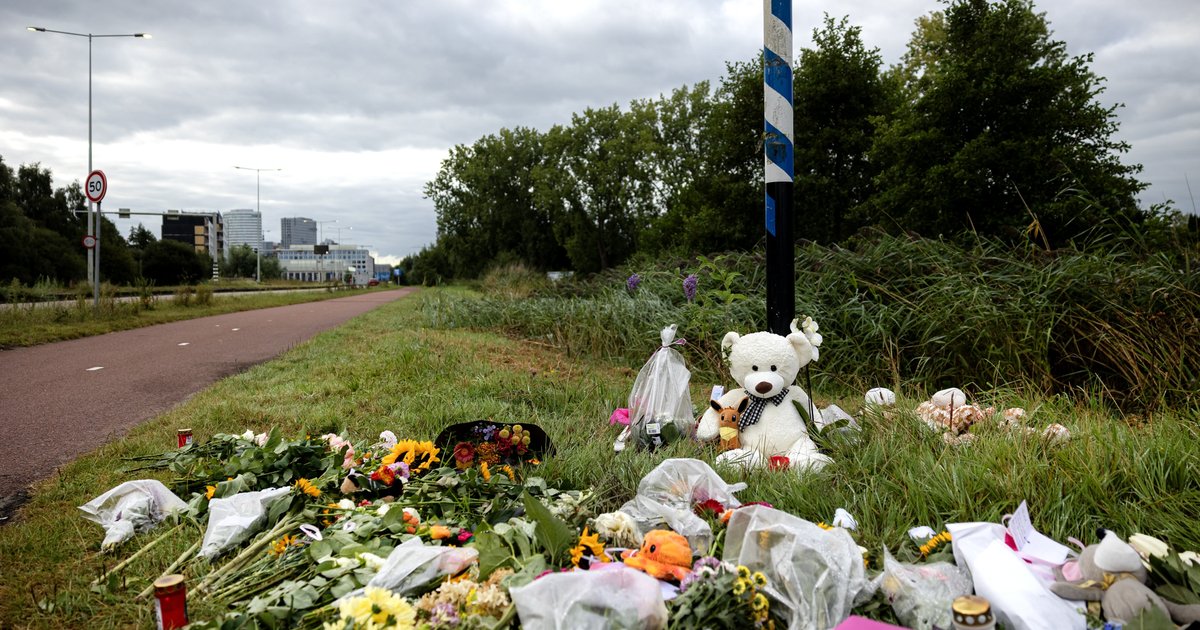 Verdachte van moord op Lisa (17) voor de rechter: 5 vragen over de zaak beantwoord