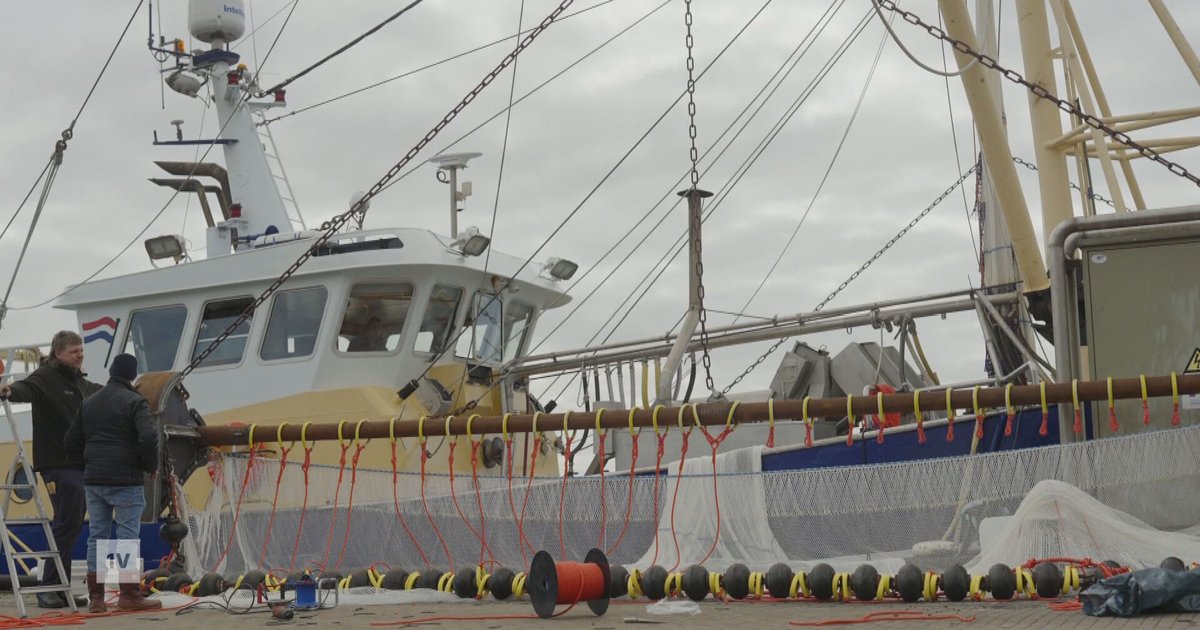 Driekwart van de vissersboten op Urk varen niet meer uit: 'Door hoge brandstofprijzen niet winstgeve