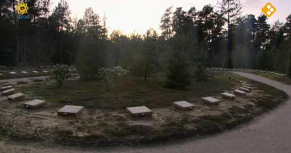 Onthulling monument KNIL in Loenen