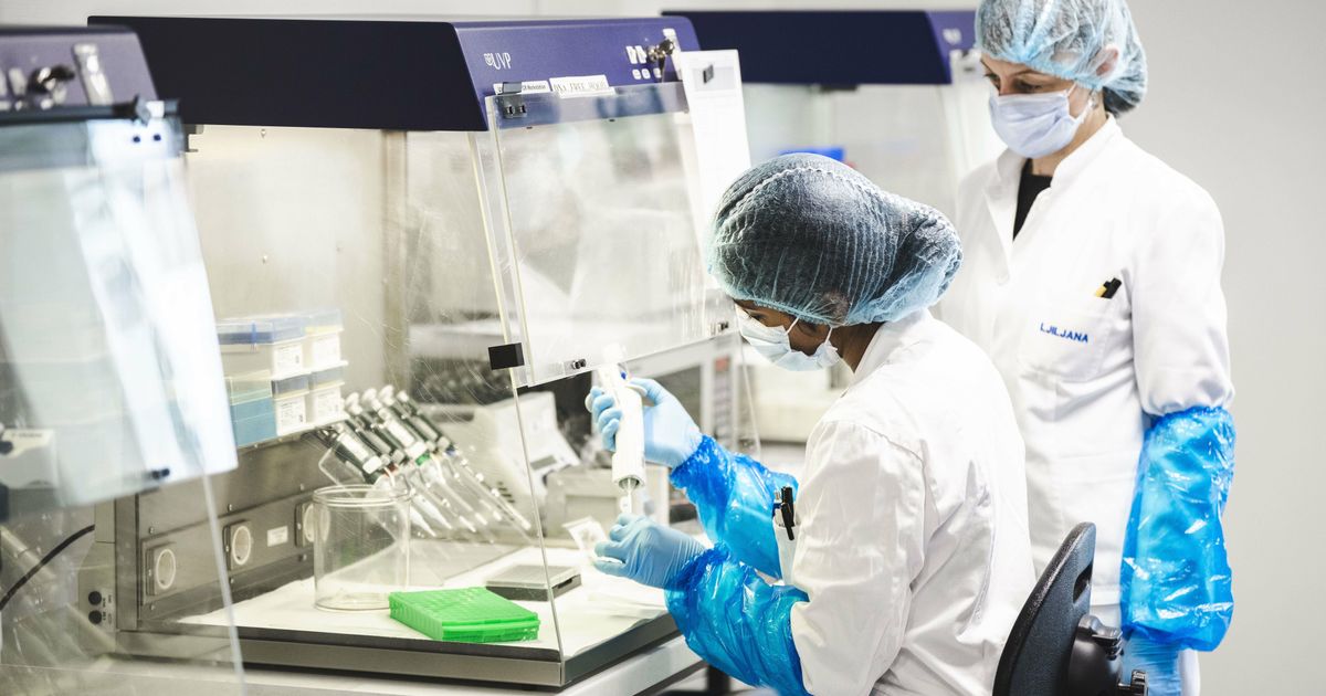 Deze wetenschapper hoopt beter onderzoek te kunnen doen als nieuwe embryowet wordt goedgekeurd