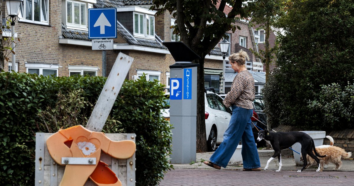 Op steeds meer plekken moet je betalen om te parkeren