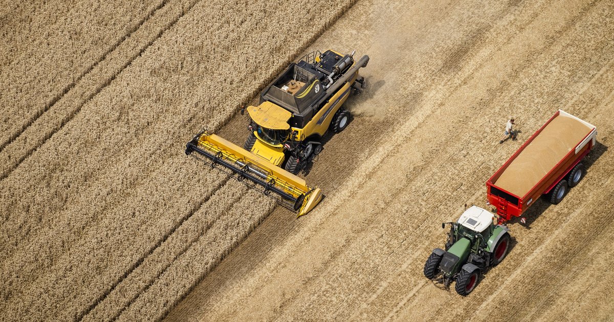 Droogte groot probleem voor Zeeuwse boeren, maar volgens expert zijn innovaties en acceptatie de opl