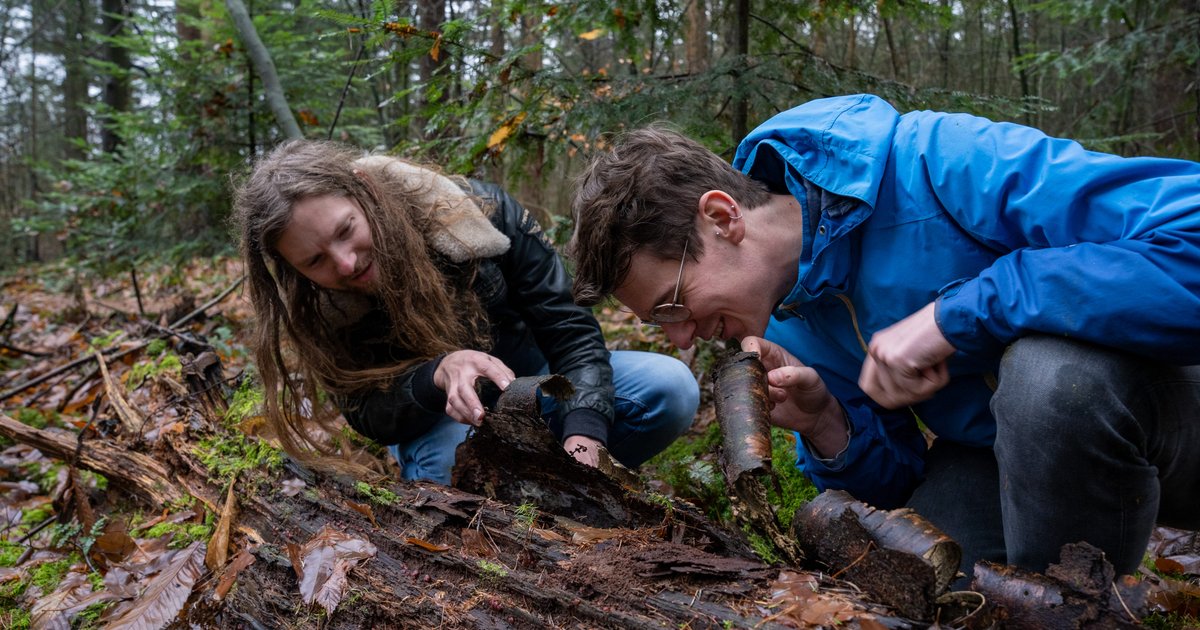 Wat als je de natuur dezelfde rechten geeft als de mens? Op de Utrechtse Heuvelrug experimenteren ze
