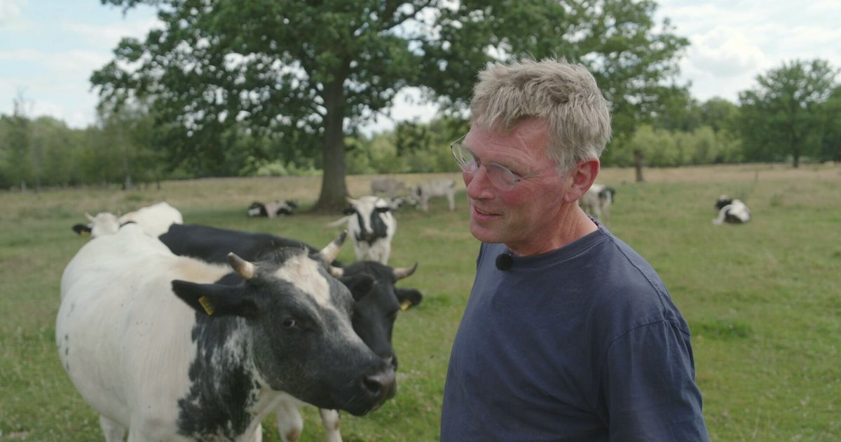 Natuurherstel als onderdeel van stikstofaanpak? Boer John doet het al jaren: 'Vroeg omarmd'