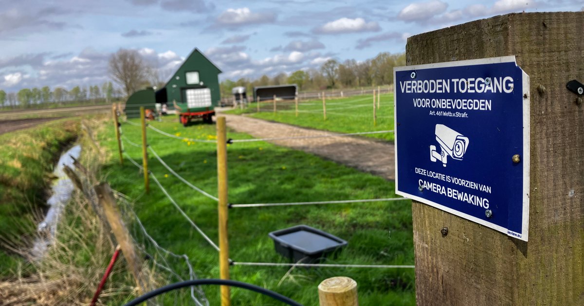 Verdachte Richard K. gaat bij rechtbank verklaring afleggen over gewelddadige moord op Sam en Ineke 