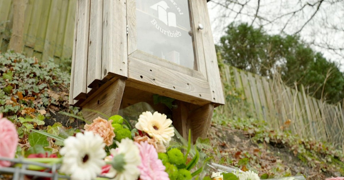 Dodelijke steekpartij Den Dolder gebeurde tijdens verlof verdachte, 'maar systeem zonder incidenten 