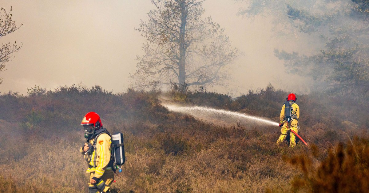 Op 4 verschillende militaire oefenterreinen natuurbranden: dit is er nu aan de hand