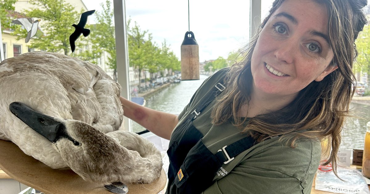 '1 stuk afval oprapen kan al een dierenleven redden', in dit museum laten ze de gevolgen van natuurv