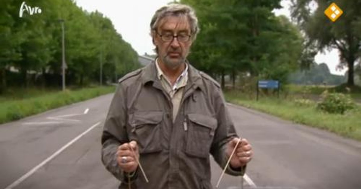 Zoeken naar Tanja Groen....