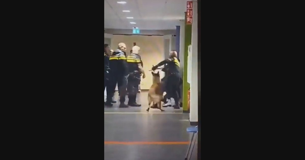 Kritiek op geweld agenten Zeist: waarom de politie volgens deze expert transparant moet zijn