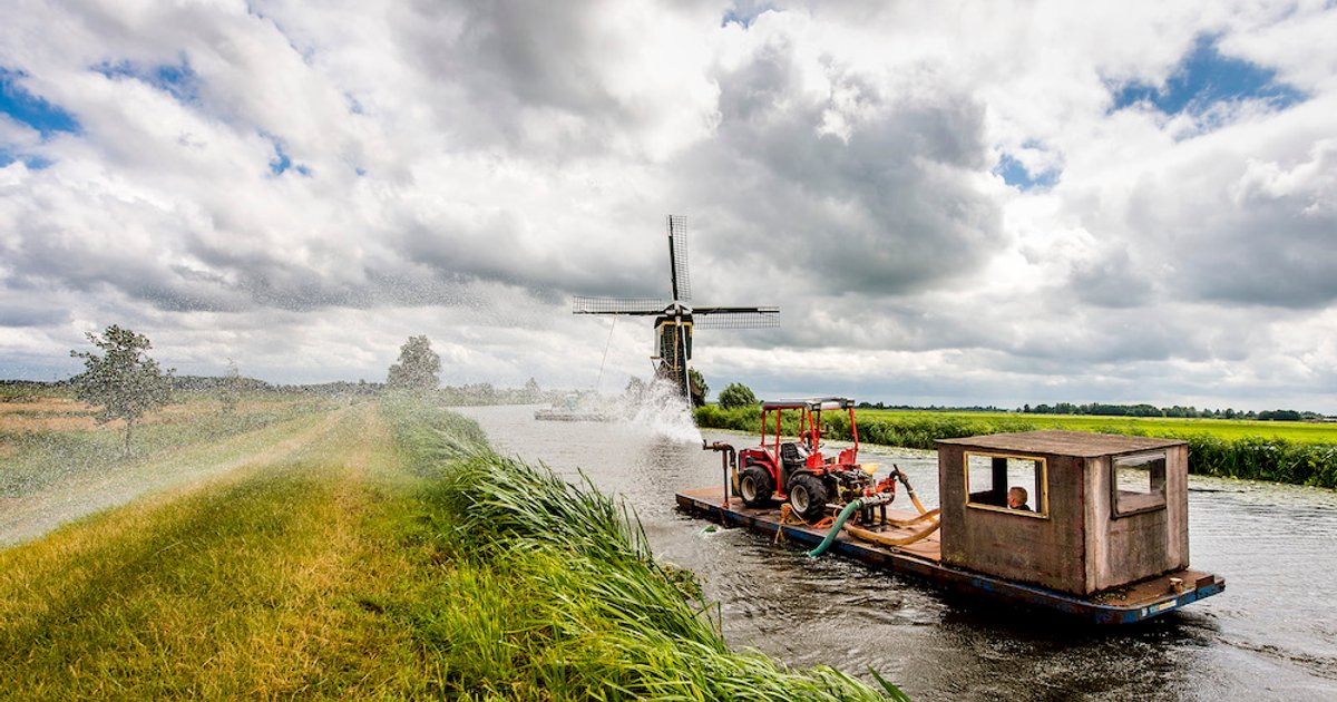 Droogte veroorzaakt scheuren in dijken: dorp Wilnis vreest 2003-scenario