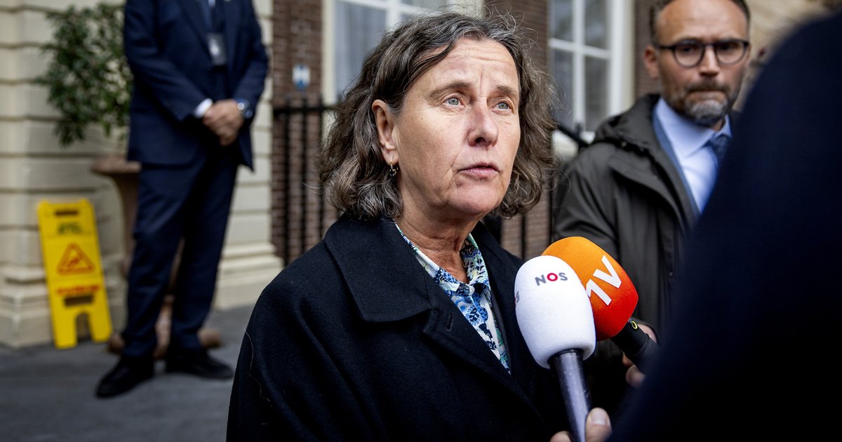 Minister Marjolein Faber wil provincies om de beurt asielzoekers laten ...