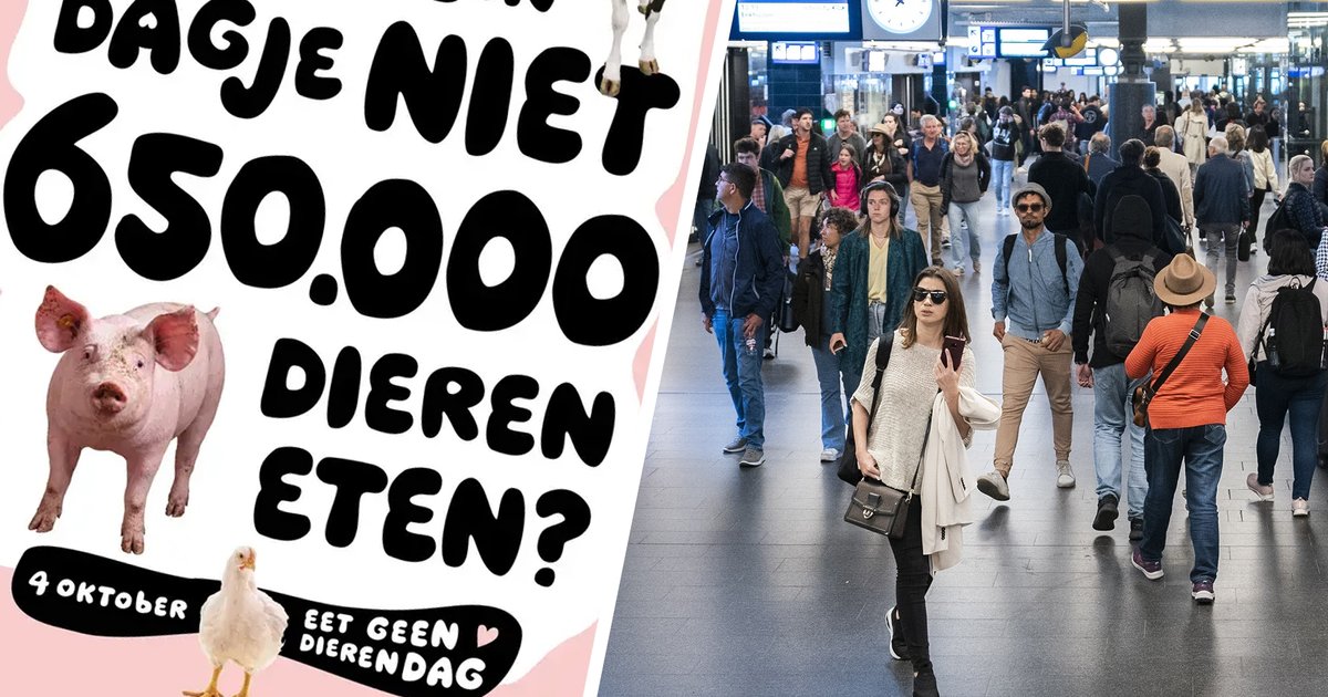 Wakker Dier-reclame door NS geweigerd op stations, maar rechter draait besluit terug: dat zit zo