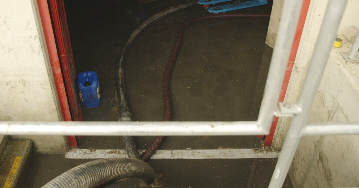 Rioolproblemen door stroomstoring in Haps laten zien hoe kwetsbaar we zijn: 'Moeten beter voorbereid