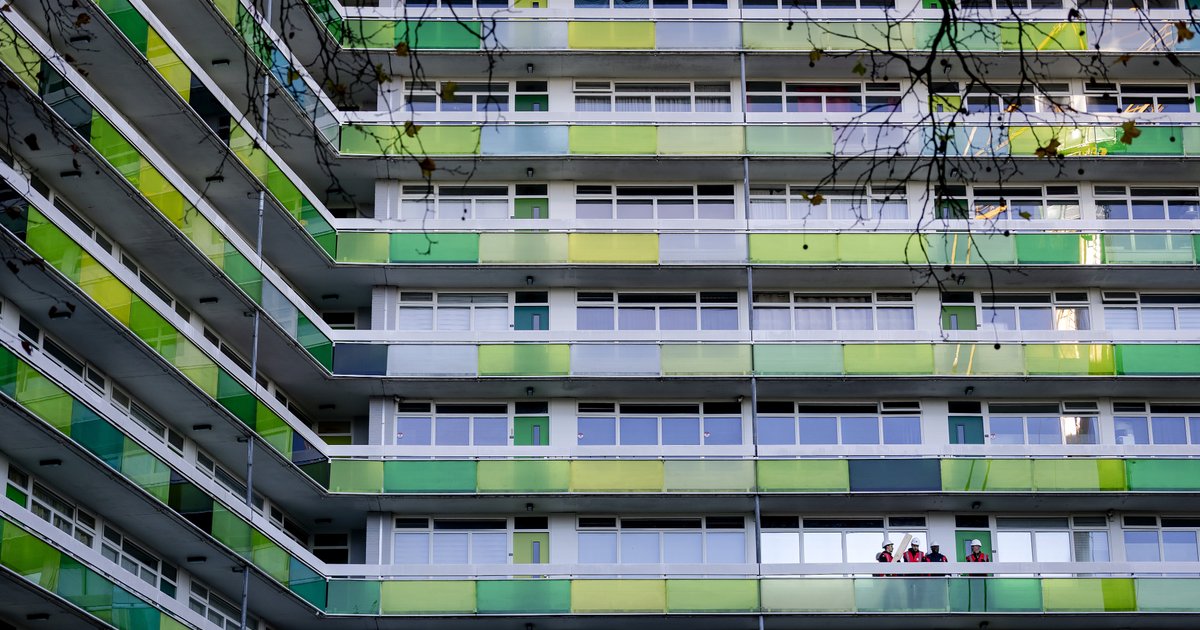 Steen en beton leiden tot bloedhete wijken: zo kunnen dichtbebouwde wijken leefbaarder worden gemaak