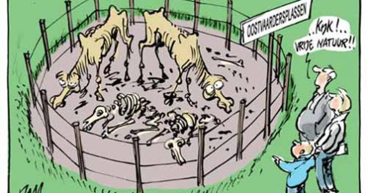 Oostvaardersplassen: ‘Erg he?’