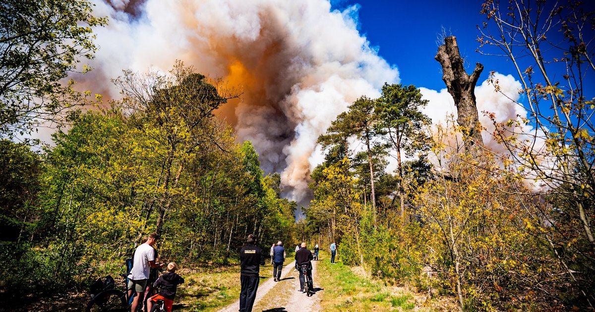 Grote natuurbrand op Veluwe laat zien: Nederland moet zich voorbereiden op toenemende droogte