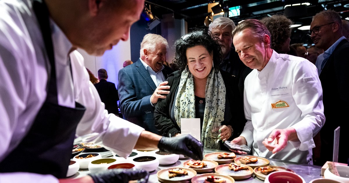 Betekent het zomerreces 8 weken vakantie voor Kamerleden? 'Ik ga 2,5