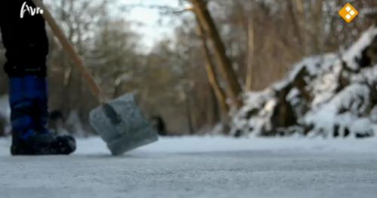 FrieslandVandaag: Balk werkt met man en macht