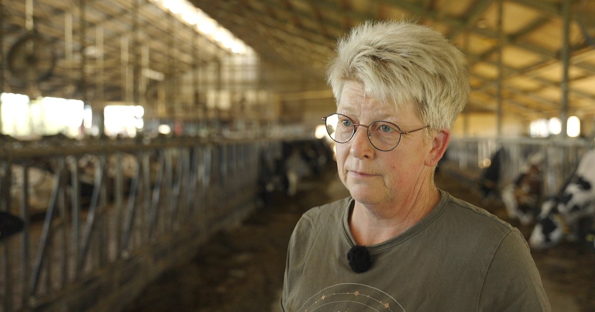 Stikstofplannen leiden tot zorgen bij boeren én plattelandsgemeenten: 'Gevolgen voor leefbaarheid'