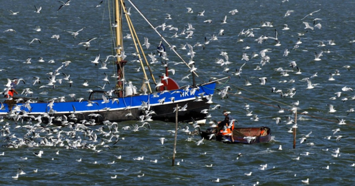 Coldcase Katwijk