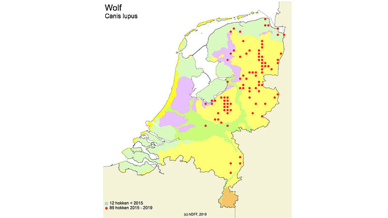Signalering wolven Nederland in de afgelopen 5 jaar